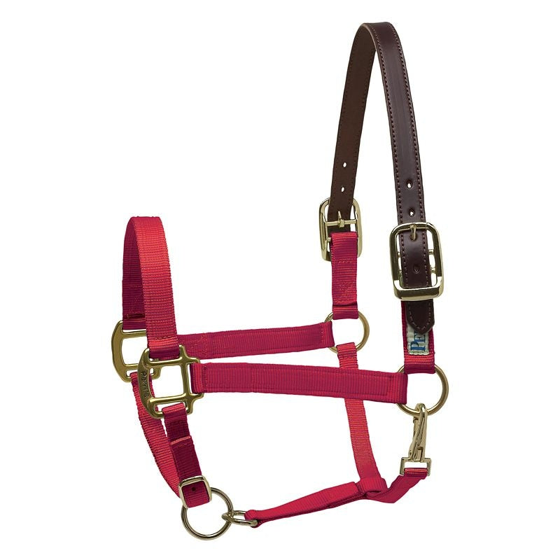 Perris Nylon Safety Halter