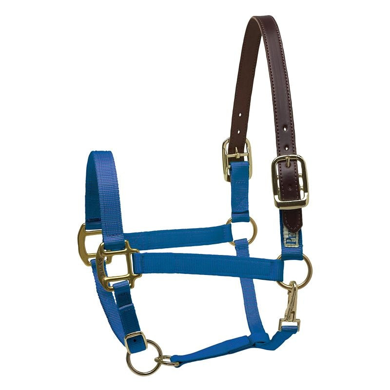 Perris Nylon Safety Halter