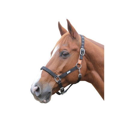 Roma Breakaway Headcollar Halter II