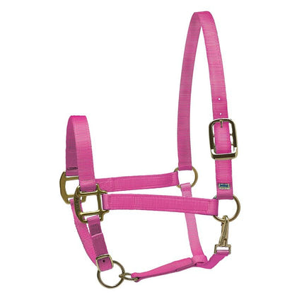 Perri's Personalized Nylon Super Halter