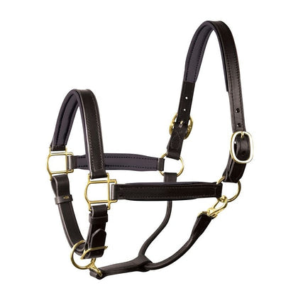 Perri's Personalized Padded Leather Halter