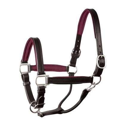 Perri's Personalized Padded Leather Halter