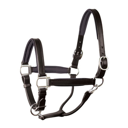 Perri's Personalized Padded Leather Halter