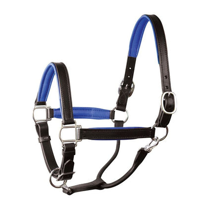 Perri's Personalized Padded Leather Halter