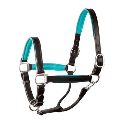 Perri's Personalized Padded Leather Halter
