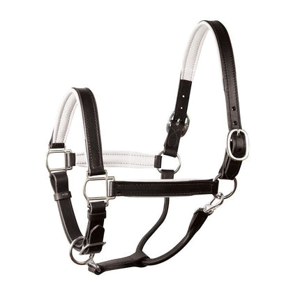 Perri's Personalized Padded Leather Halter