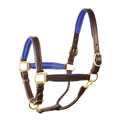Perri's Personalized Padded Leather Halter