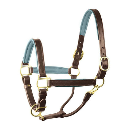 Perri's Personalized Padded Leather Halter