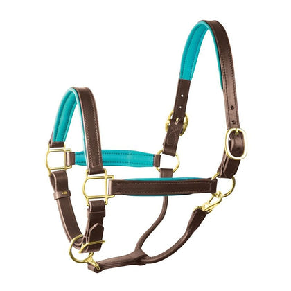 Perri's Personalized Padded Leather Halter