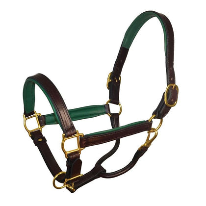 Perri's Personalized Padded Leather Halter