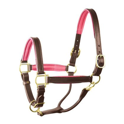 Perri's Personalized Padded Leather Halter