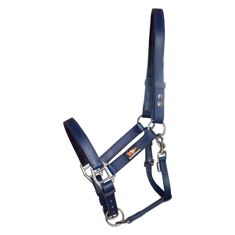 Equilibrium Stellar Safety Head Collar