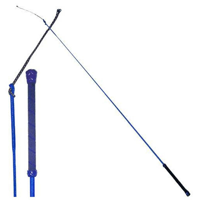 Colorful Training Whip