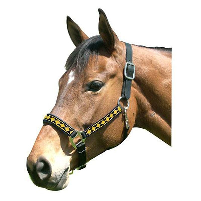 Leather Crown Diamond Pattern Halter