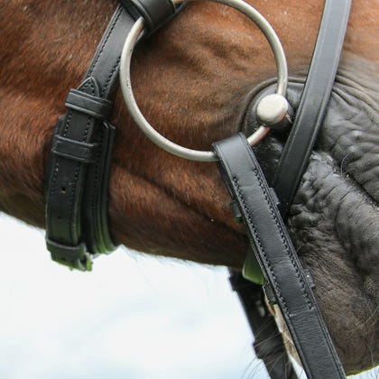 Vespucci Double Raised Snaffle Bridle
