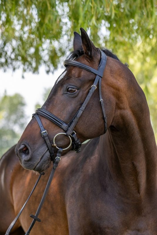 Vespucci Double Raised Snaffle Bridle
