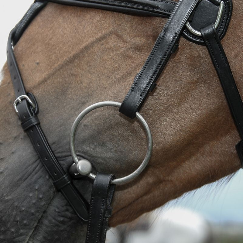 Vespucci Raised Figure 8 Bridle
