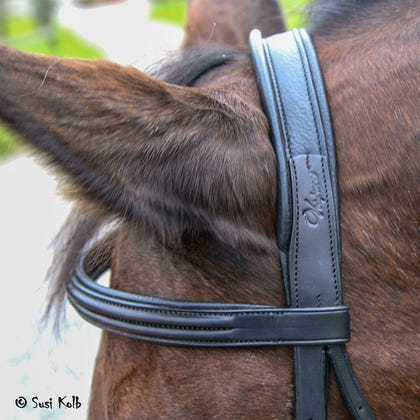 Vespucci Raised Figure 8 Bridle