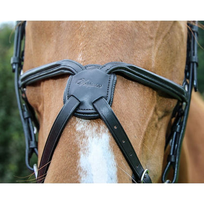 Vespucci Raised Figure 8 Bridle