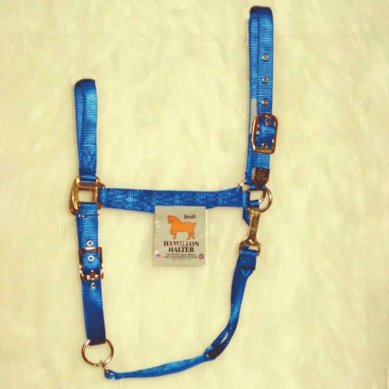 Hamilton Halter Adjustable Chin/Snap Yearling Blue