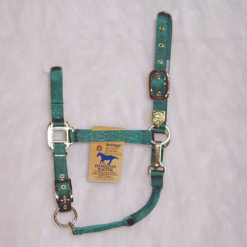 Hamilton Halter Adjustable Chin/Snap Yearling Blue