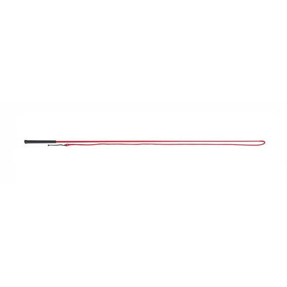 Lunging Whip 63 Black