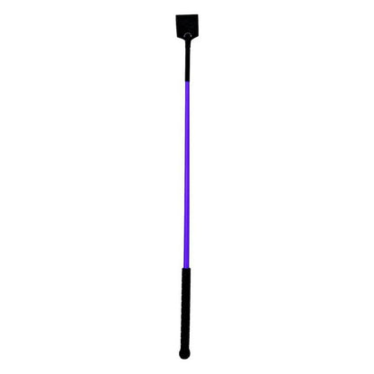 TE042236_663102.jpg