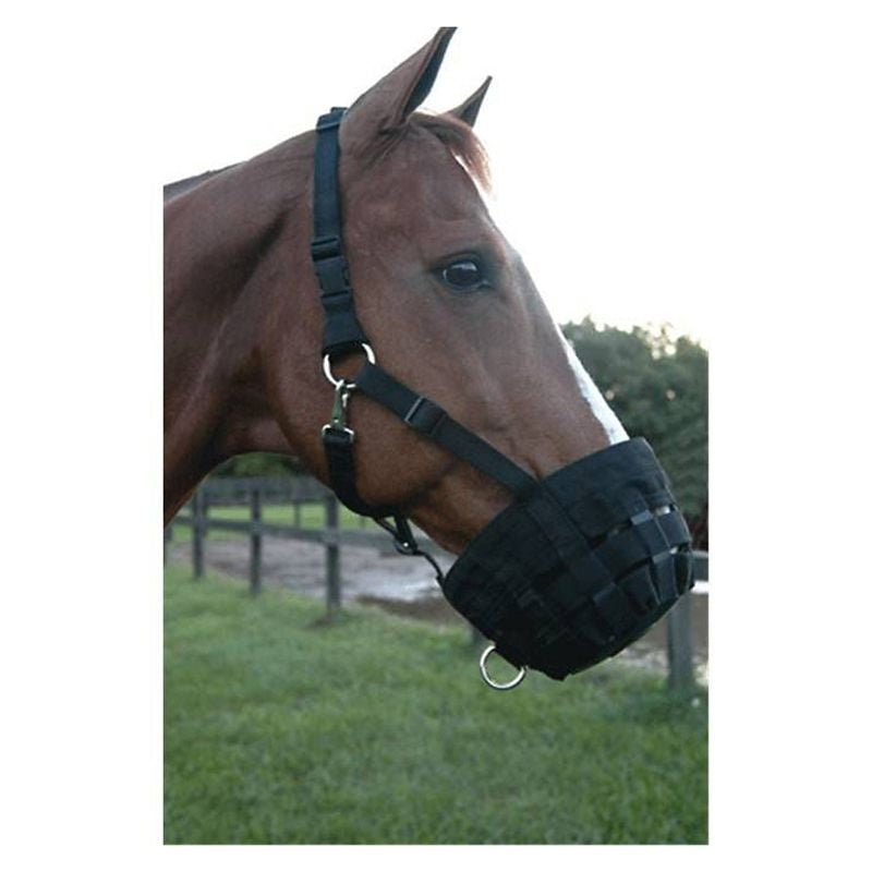 Jacks Web Muzzle Cob Black