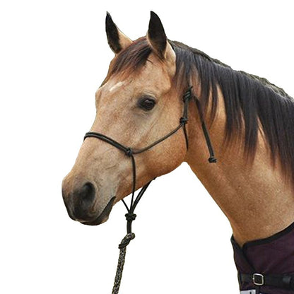 Classic Equine Premium Rope Halter Average Black
