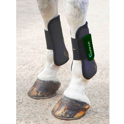 Shires Open Front Tendon Boots