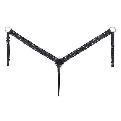 King Series Braden with Silver Breast Collar