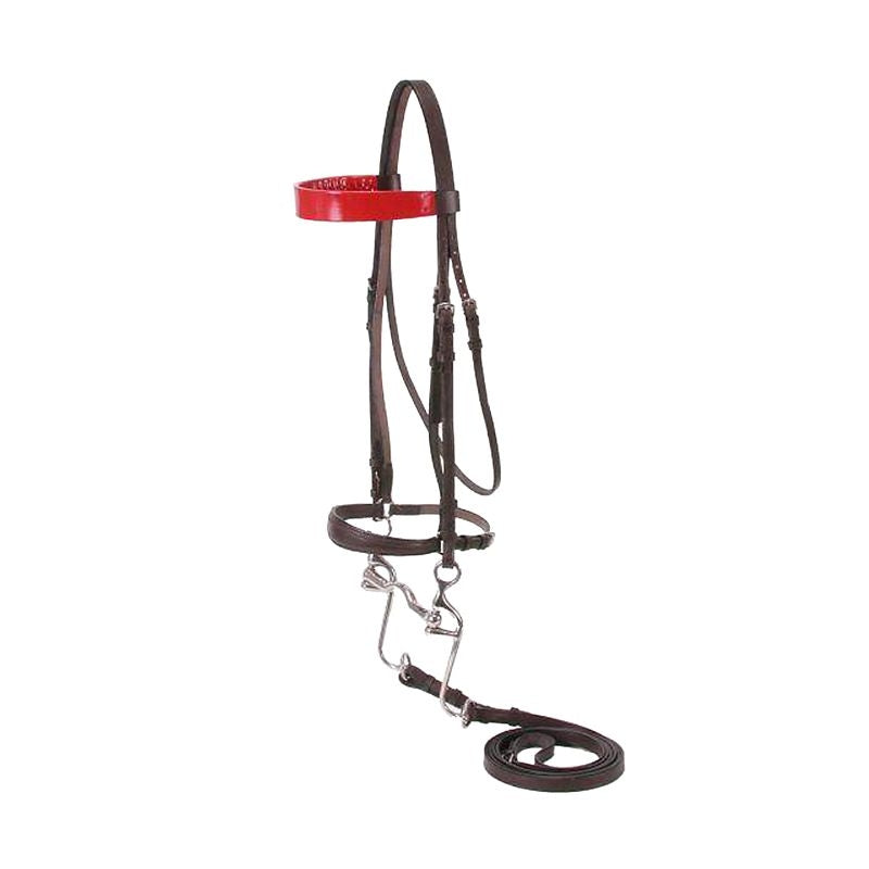 Silver Fox Walking Horse Bridle