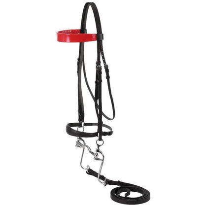 Silver Fox Walking Horse Bridle