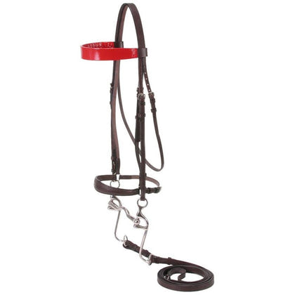 Silver Fox Walking Horse Bridle