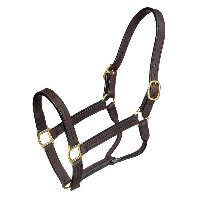 Royal King Premium Leather Halter Snap