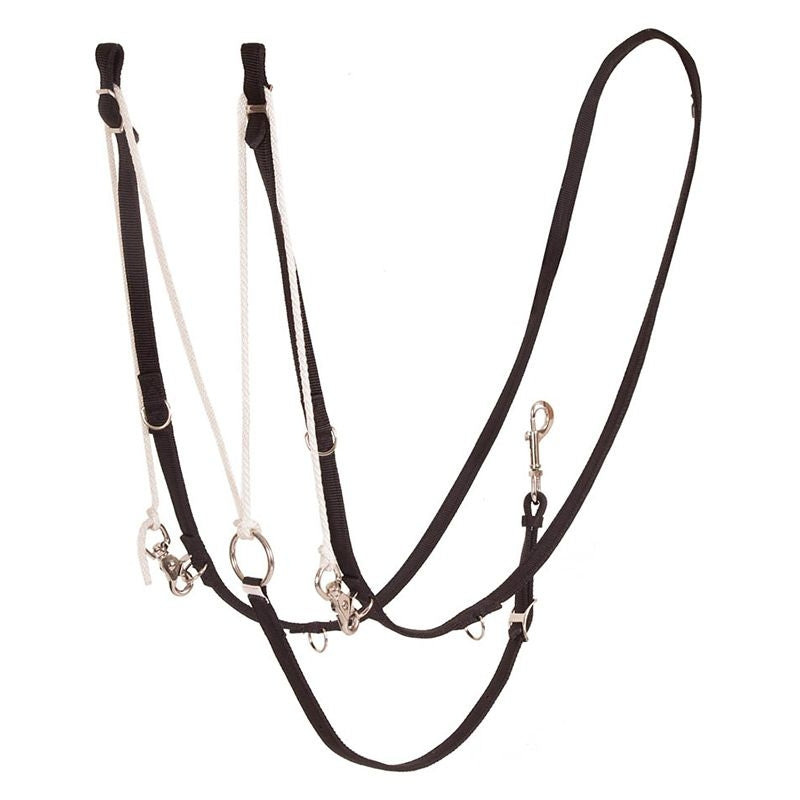 Mustang German Martingale