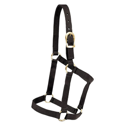Mustang Regular Economy Halter