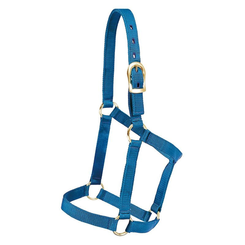 Mustang Yearling Economy Halter