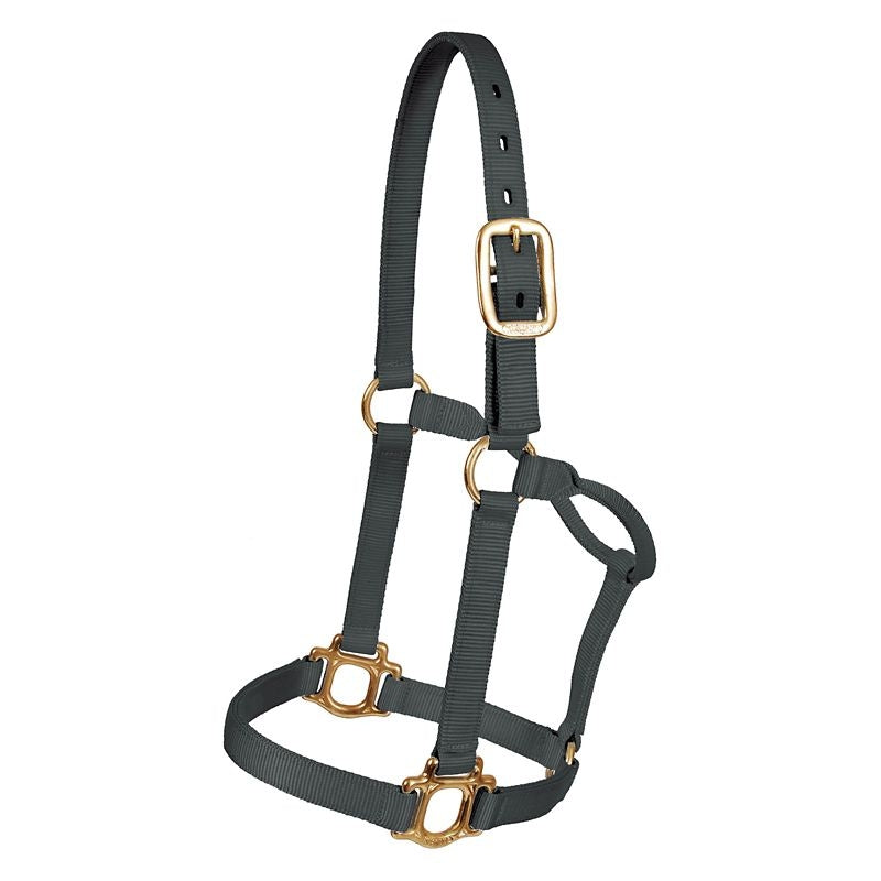 Mustang Regular Traditional Nylon Halter