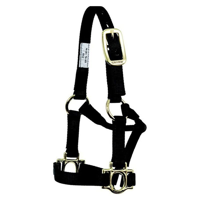 Mustang Pony Traditional Nylon Halter