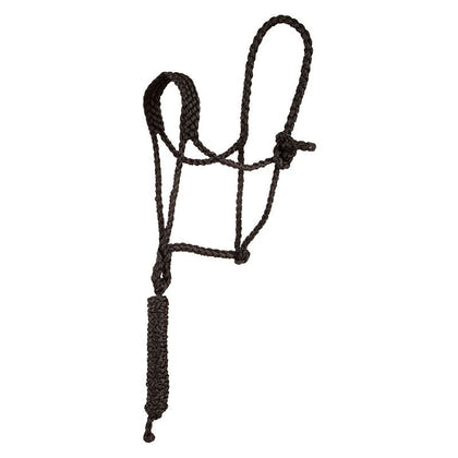 Mustang Flat Braid Mule Tape Halter with Lead