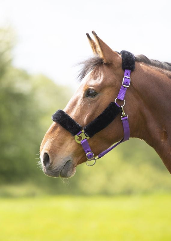 Shires Fleece Lined Headcollar