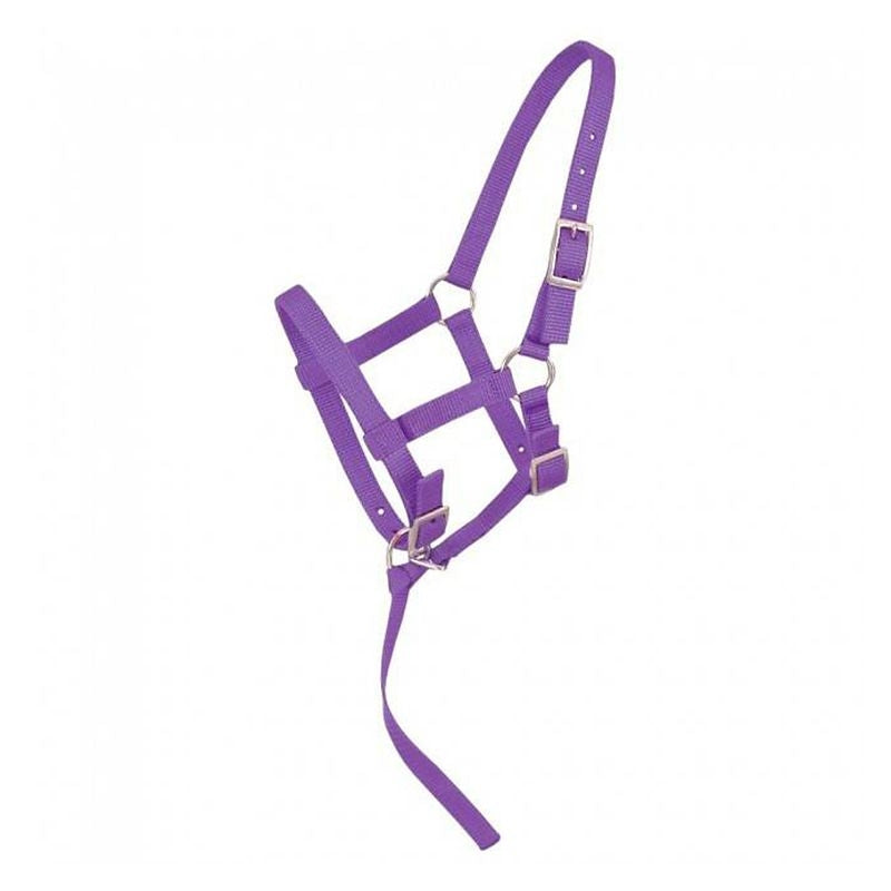 Tough1 Adjustable Foal Halter