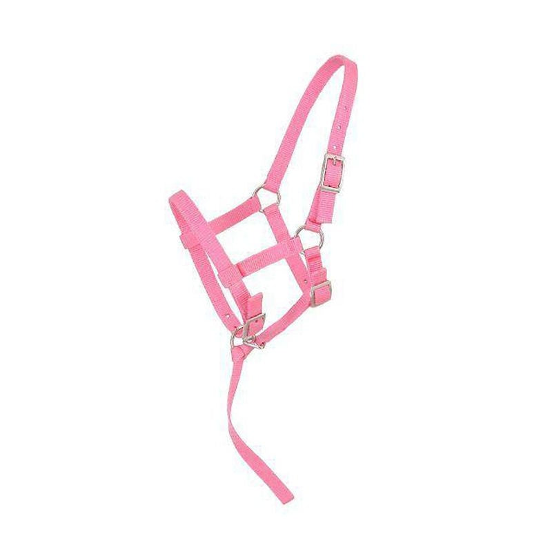 Tough1 Adjustable Foal Halter