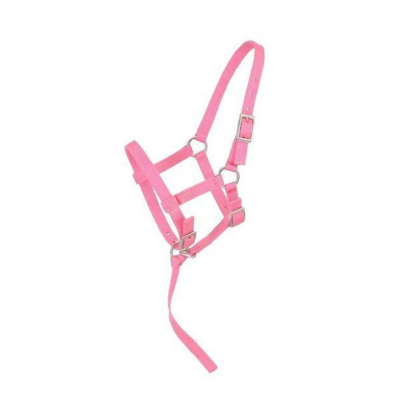 Tough1 Adjustable Foal Halter