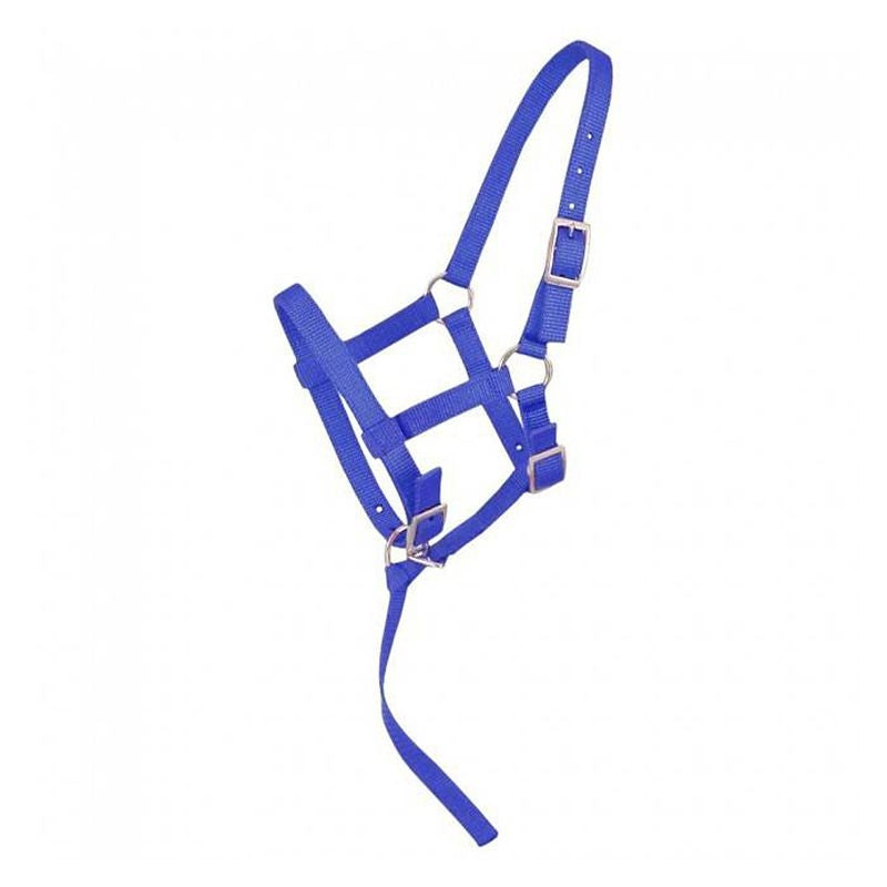 Tough1 Adjustable Foal Halter