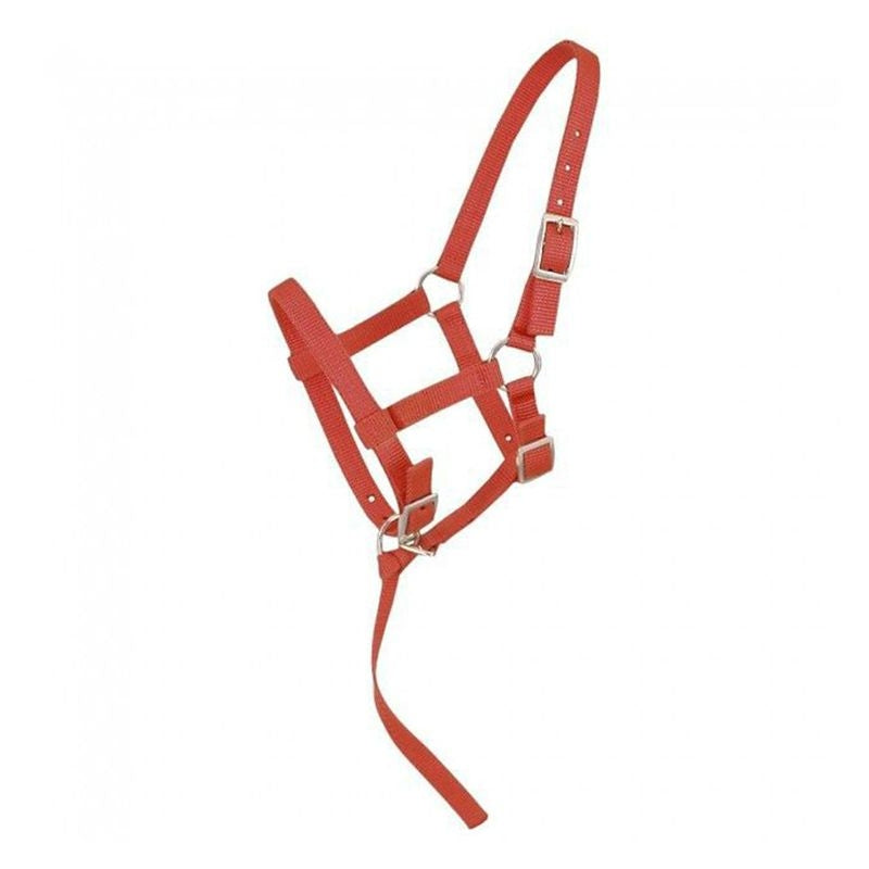 Tough1 Adjustable Foal Halter