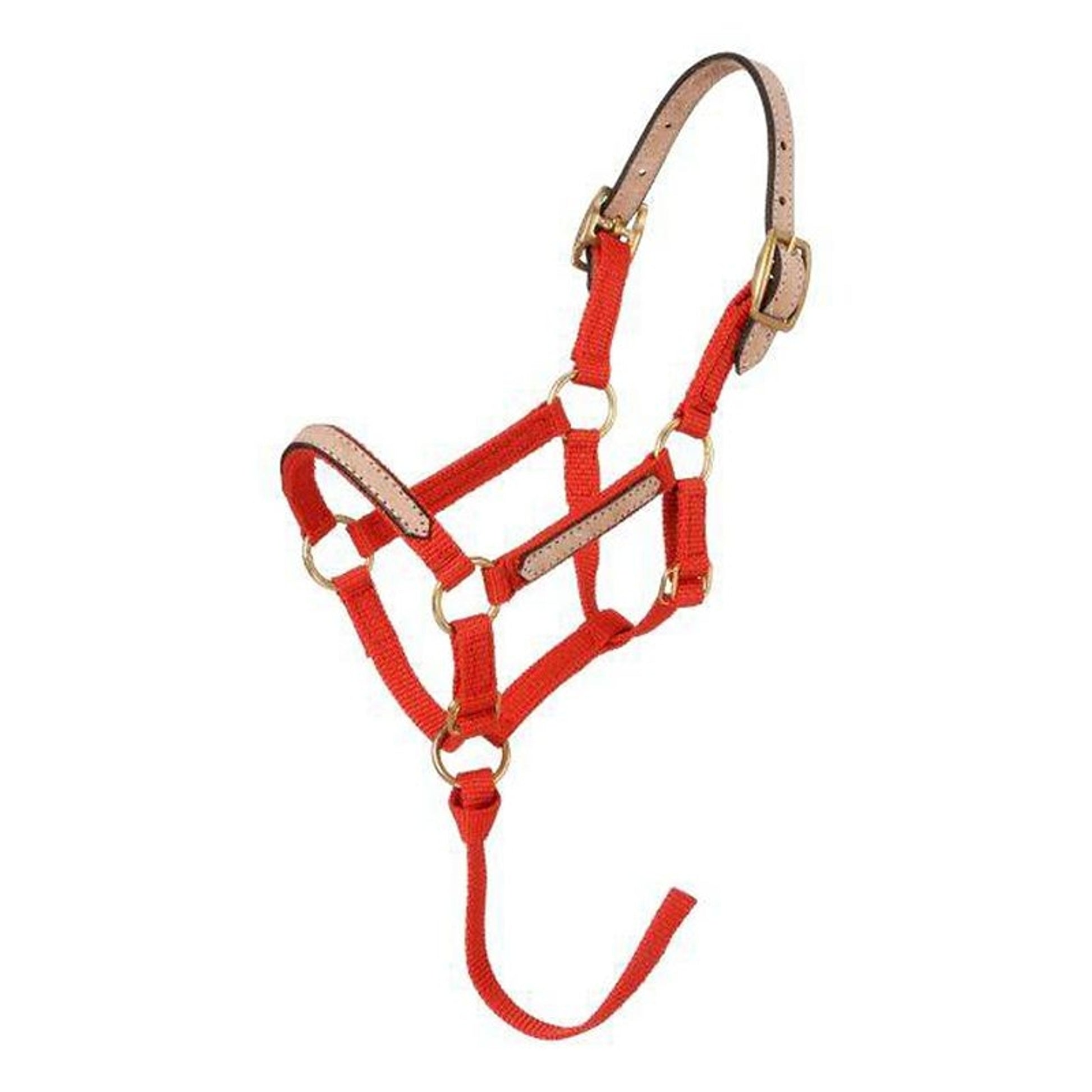 Tough1 Miniature Nylon Breakaway Halters 6 Pack