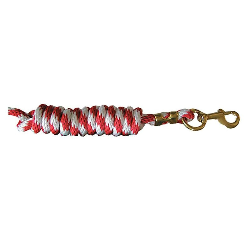 Braided Poly 8ft Lead with Solid Brass Snap