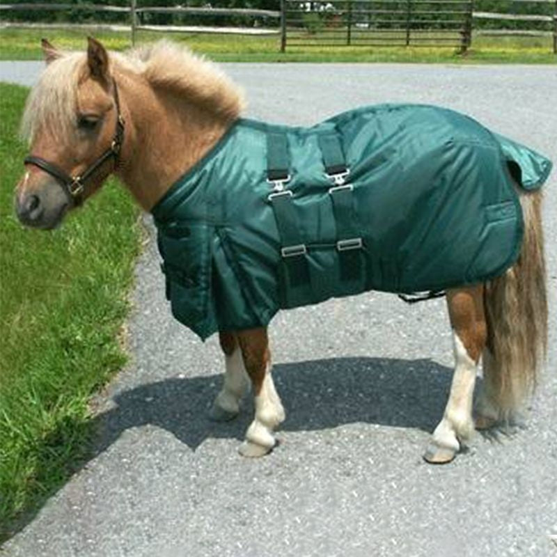 Miniature Horse Heavyweight Turn Out Blanket